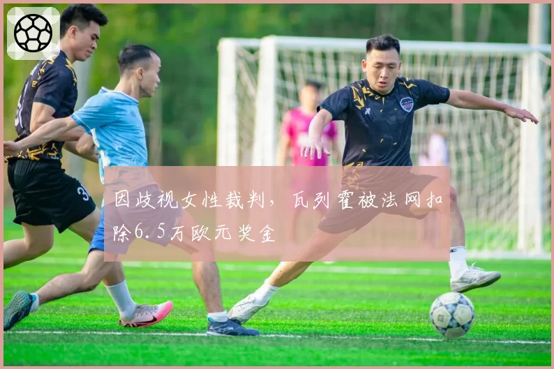 因歧视女性裁判，瓦列霍被法网扣除6.5万欧元奖金