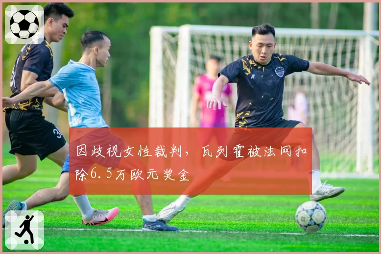 因歧视女性裁判，瓦列霍被法网扣除6.5万欧元奖金